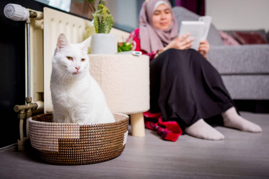 Webinar kou buite de deur