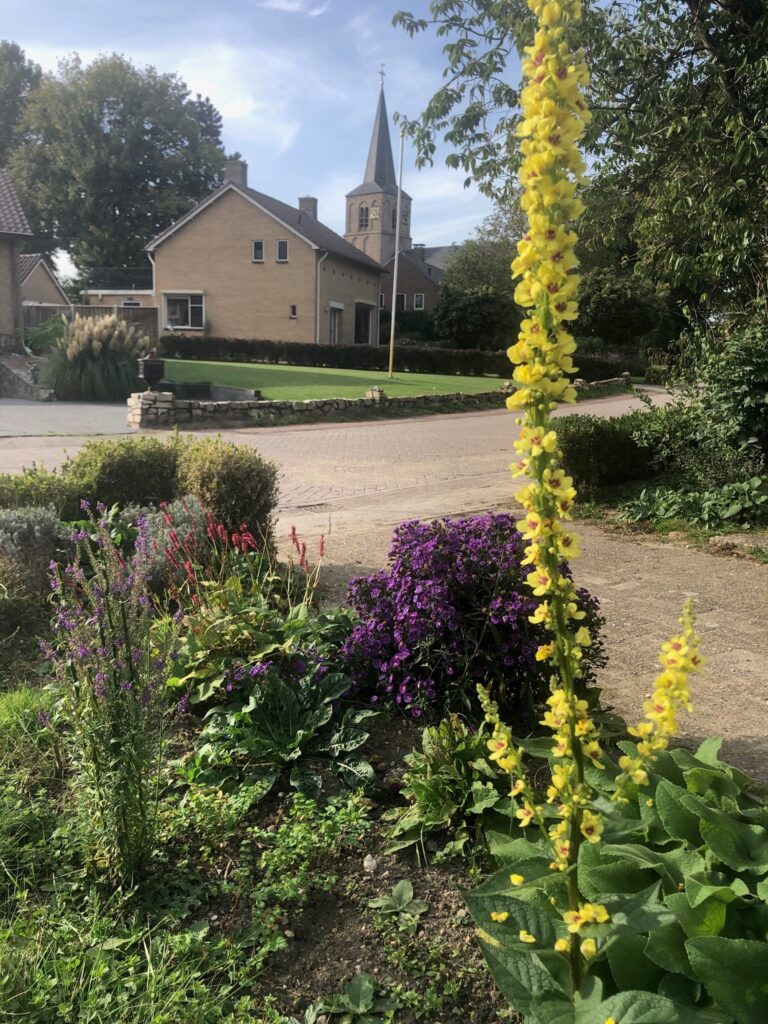 Tuin Lionne uitzicht