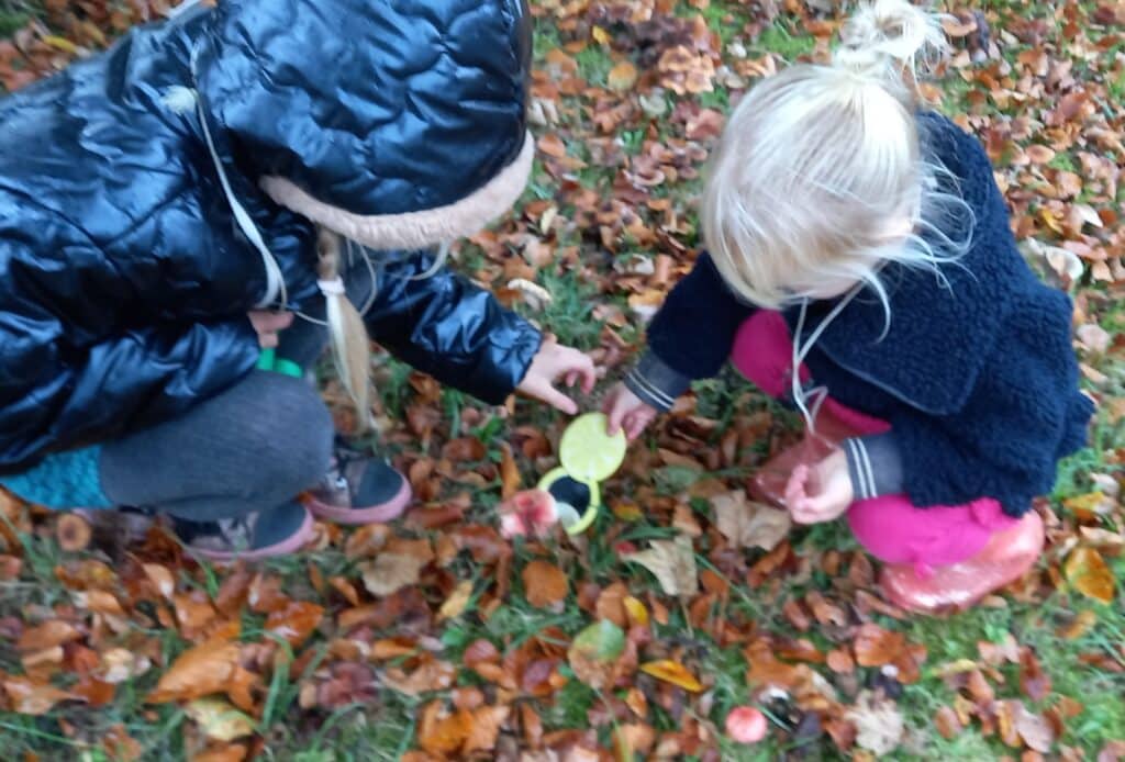 Kopie-Samen-kijken-naar-paddestoelen.Anna-van-Hal-1024x694.jpg