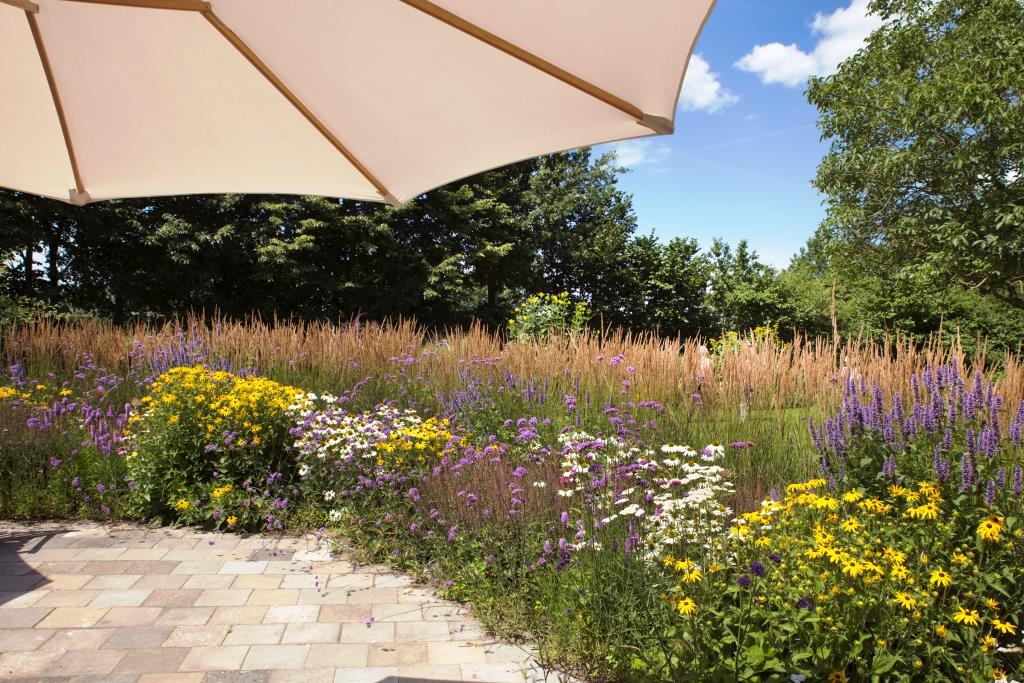 GB - De achtertuin 2