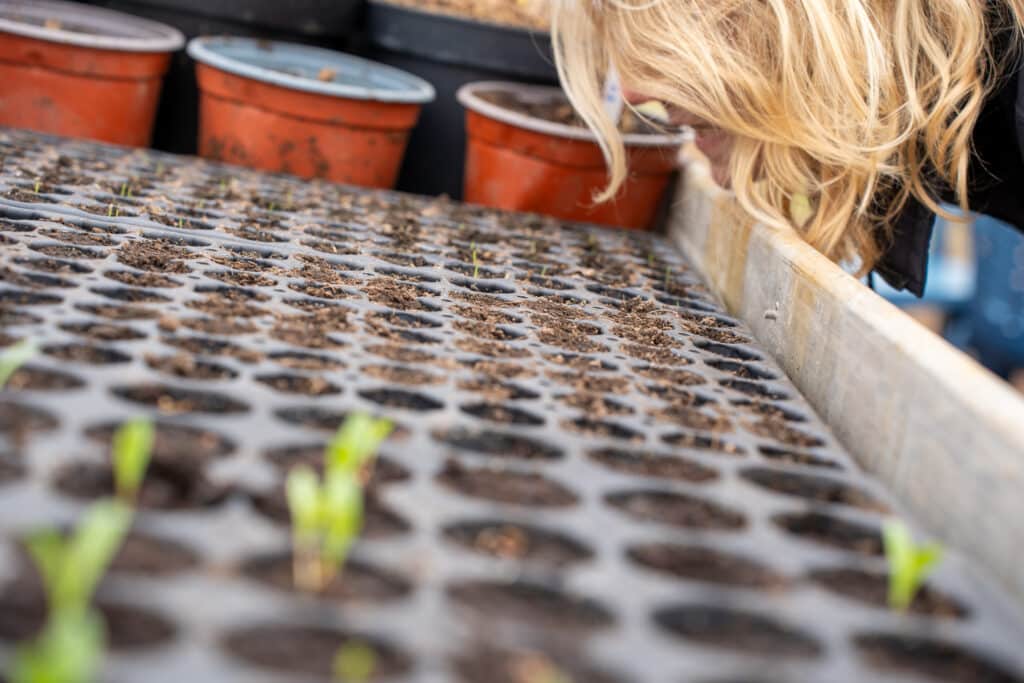 VB Workshop plukbloemen