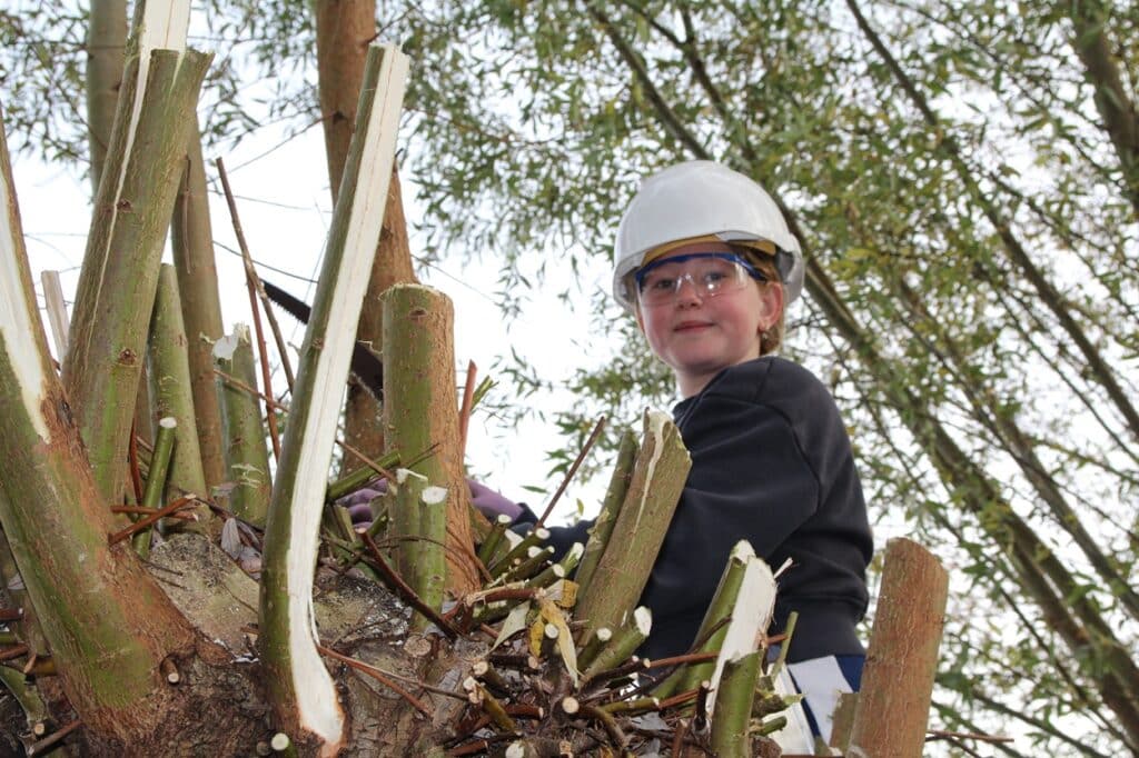 2025-10-31 Wilgen knotten bij Knotploeg Duiven_foto SLG
